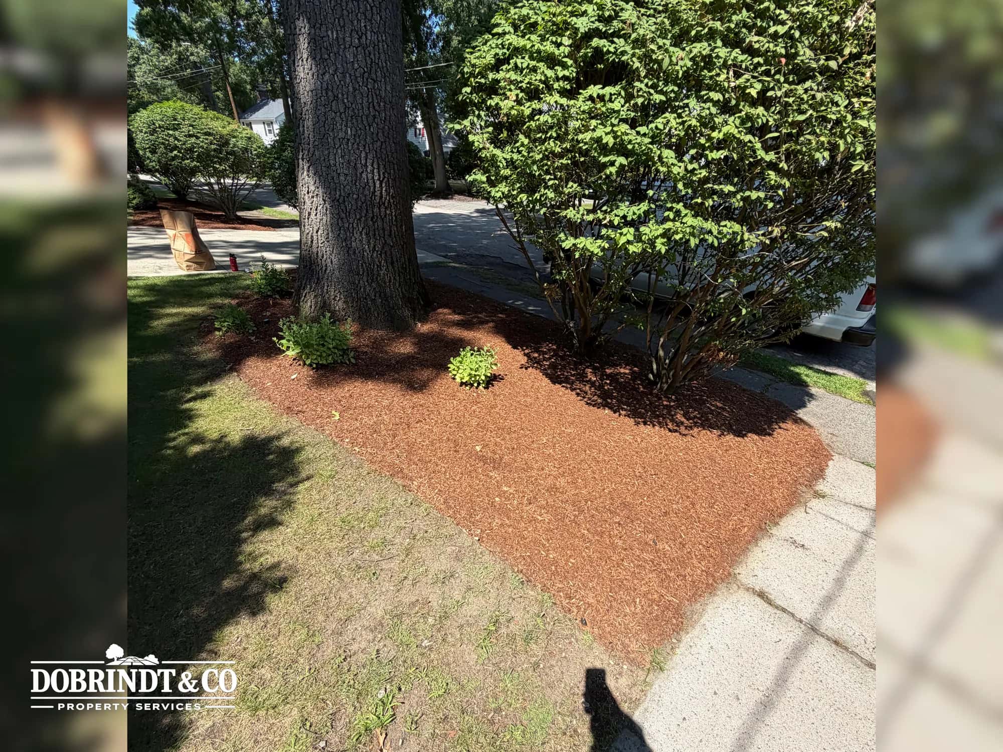 Landscaping and property maintenance work by Dobrindt & Co.