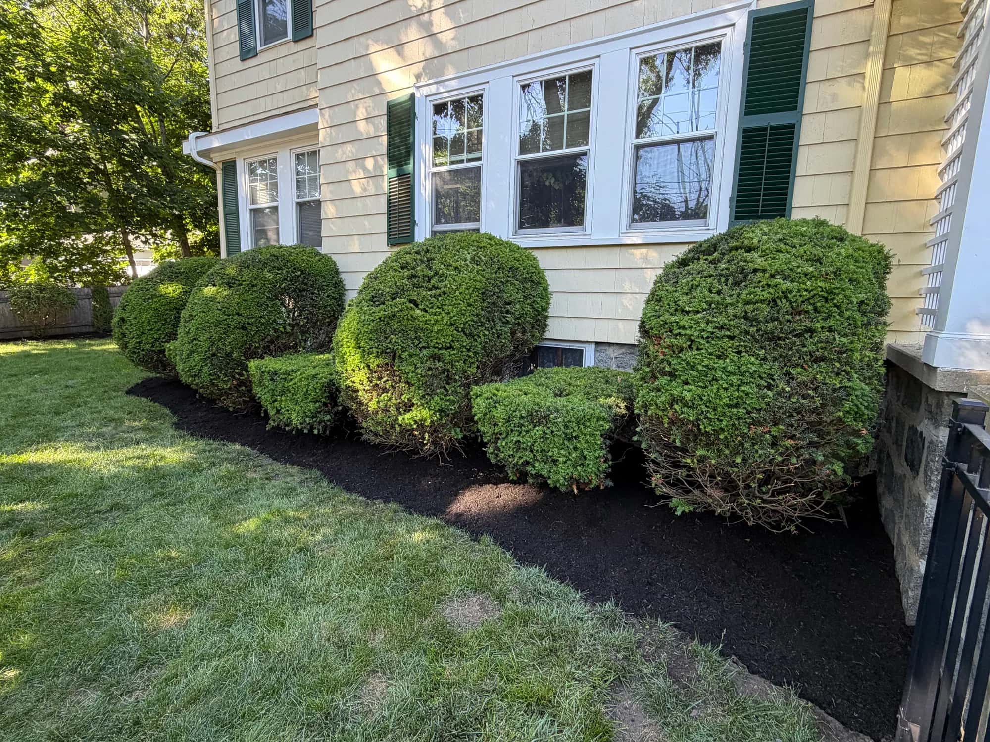 Rounded hedge trimming along a yellow house with green shutters.