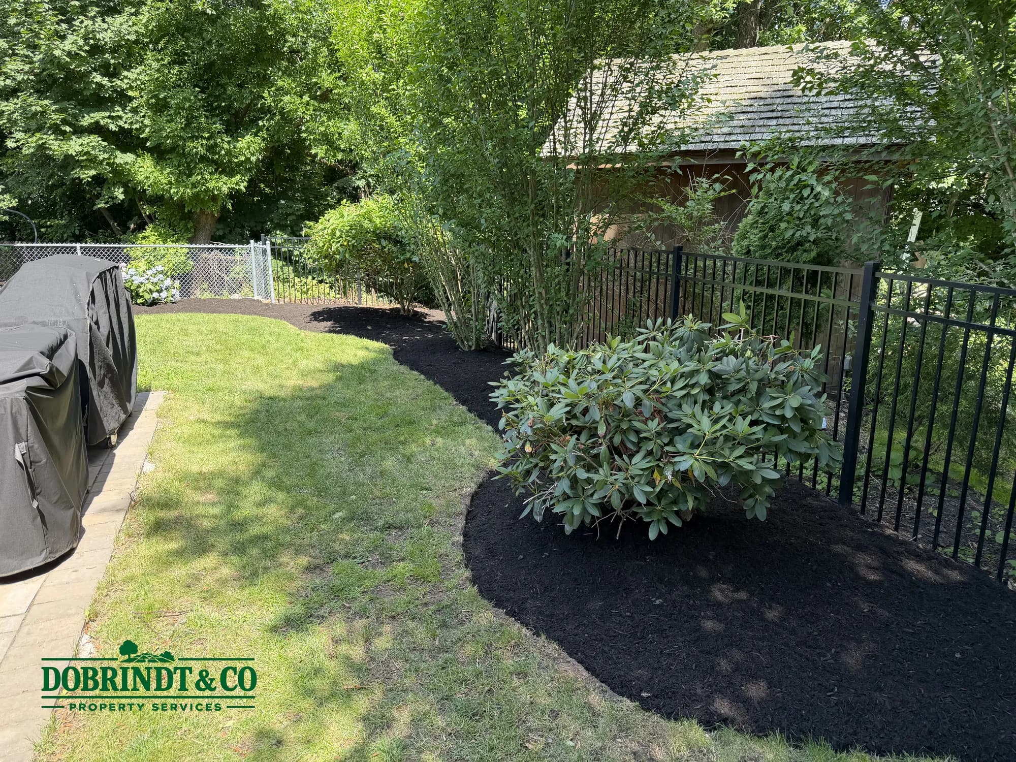 Well-maintained backyard with lush green grass, a decorative bush, and a storage shed in a fenced area.