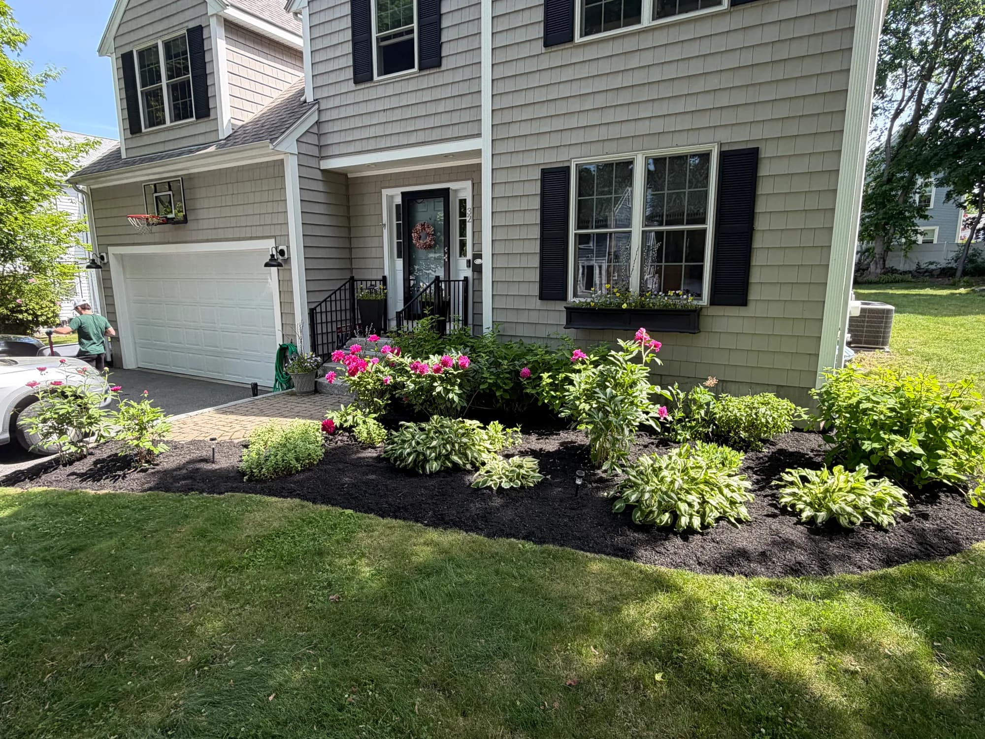 Residential front yard with blooming pink flowers, green plants, and freshly mulched beds in front of a beige house.