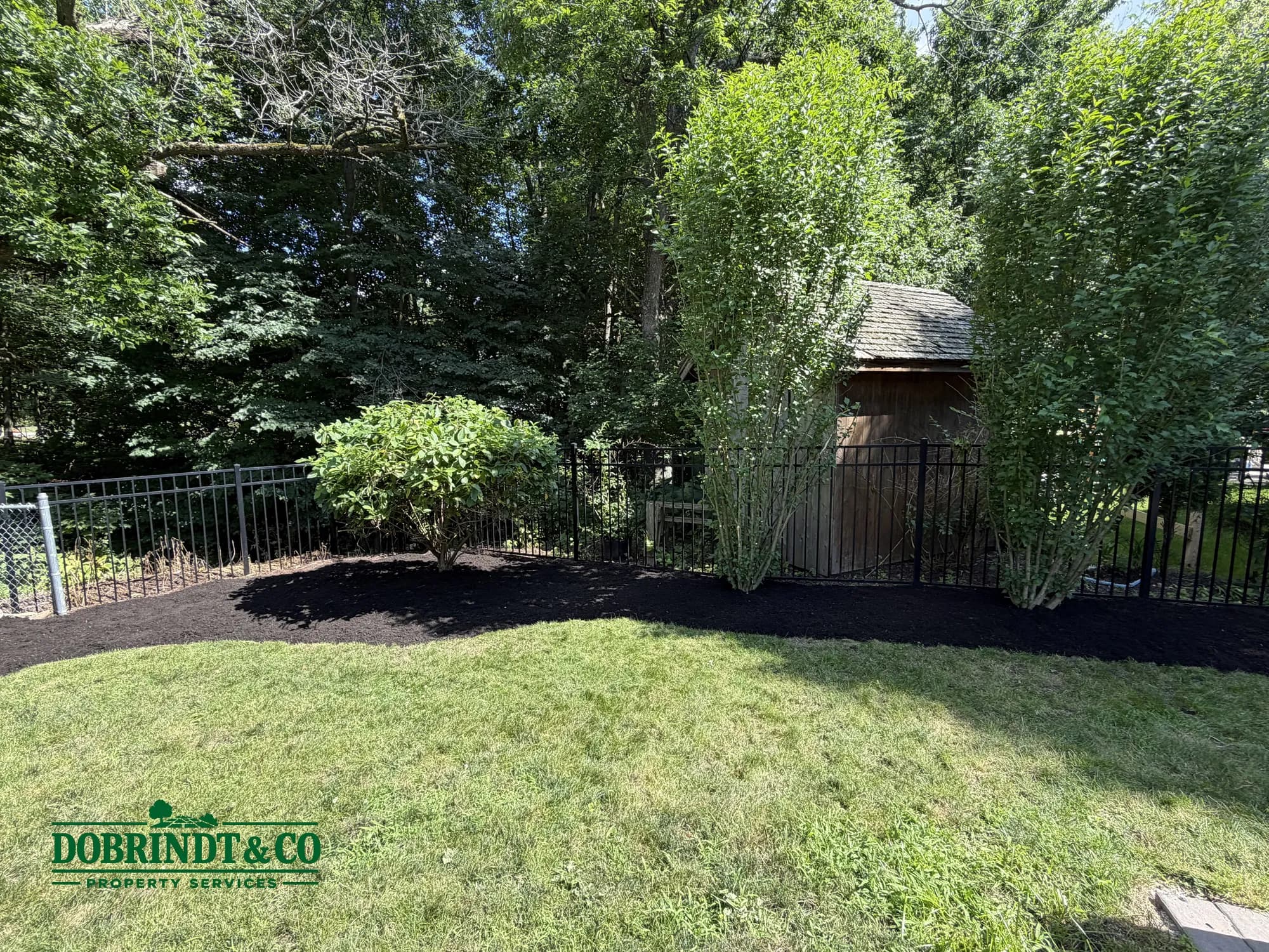 Manicured lawn and lush greenery with a wooden shed partially hidden behind shrubs.